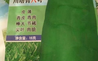 莴笋哪里有卖（川塔青8号莴笋种子哪里买到）