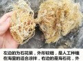 海石花是哪里的特产（海石花是哪里的特产呢）
