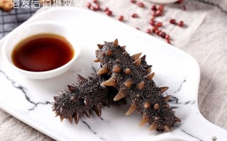 大连哪里产海参（大连哪里产海参最好）