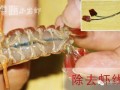 皮皮虾虾线怎么挑,皮皮虾的线