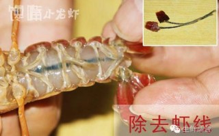 皮皮虾虾线怎么挑,皮皮虾的线