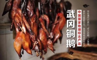 武冈铜鹅哪里好吃（武冈铜鹅哪里好吃啊）