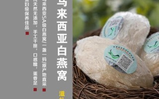 马来西亚哪里燕窝最好（马来西亚有什么比较好的燕窝品牌）