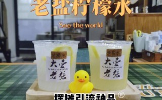 太原有没有海南老盐卖,三亚哪里有老盐柠檬水卖