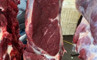 最好的牛肉是哪里的（牛肉最好产地是哪）