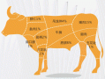 牛胸口是哪个部位,牛胸口是哪里的肉