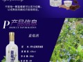 蓝莓酒 哪里买（蓝莓酒 哪里买的到）