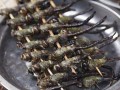哪里有虫子美食（哪里有虫子啊）