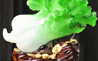白菜放在哪里（白菜放在哪里招财）