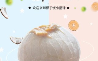 椰子饭哪里进货（椰子饭哪里进货便宜）