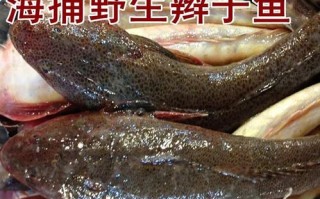 蒜瓣鱼哪里（蒜瓣肉的海鱼有哪些）