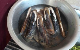 冬天有河蚌卖吗,河蚌哪里有卖的啊