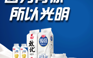 大头儿子鲜奶吧项目怎么样（光明奶粉好吗）