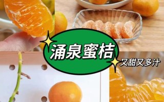 蜜桔哪里好吃（蜜桔哪里好吃又甜）