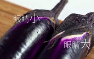 茄子眼是哪里,茄子的眼睛图片看一下