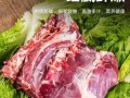 羊腩筋是什么位置,羊肉筋是哪里的肉做的