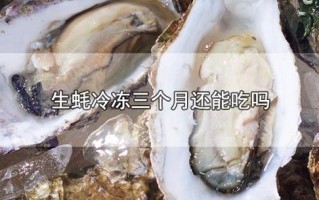 海蛎哪里不能吃（海蛎哪里不能吃图示）