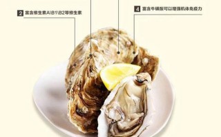 生蚝哪里不能吃图解（生蚝哪儿不能吃）