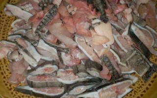 鳄鱼肉哪里好（鳄鱼肉哪里最好）