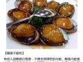 假鲍鱼哪部分不能吃,鲍鱼哪里不能吃图示
