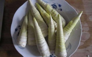 笋的哪个部位能吃啊,春笋哪里是吃的啊