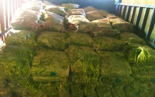 怎么样才能把菜推销出去（怎么样才能把菜推销出去呢）