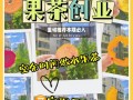 果茶创业怎么样（果茶创业怎么样赚钱）