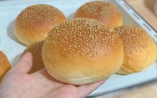 汉堡胚在哪里可以买到（汉堡胚在哪里可以买到正宗的）
