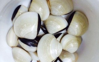 白贝吃哪里（白贝好吃吗）