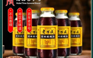酸梅汤是哪里的特产,酸汤子哪里卖的好吃