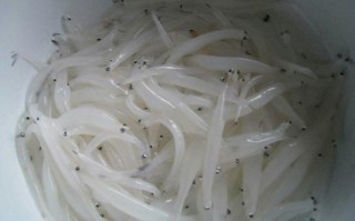 哪里的银鱼最好（哪里的银鱼最好吃）
