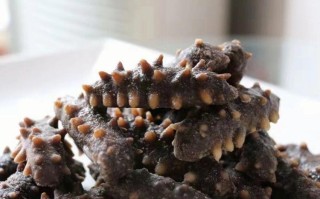 野生海参哪里好（野生海参哪里的最好）