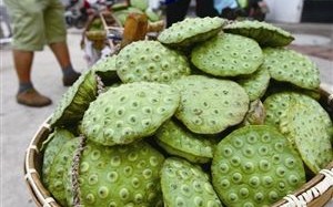 莲蓬哪里有卖（上海有莲蓬卖吗）