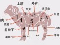 羊哪里肉瘦（羊哪个部位瘦肉多）