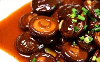 香菇哪里最好（香菇哪里最好吃）