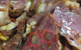 猪头肉是哪里的肉（耳根肉是哪里）