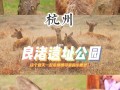 奈良公园跟良渚文化遗址公园是同一个吗,奈良小鹿品牌怎么样啊