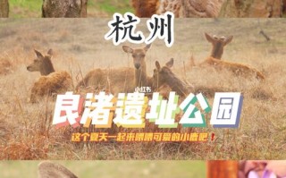 奈良公园跟良渚文化遗址公园是同一个吗,奈良小鹿品牌怎么样啊