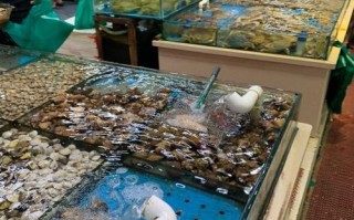 天津最大的海鲜市场,天津哪里的海鲜好吃又便宜