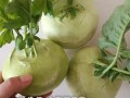 大头菜是哪里的特产（中国大头菜之乡）