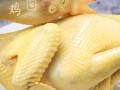广东人吃什么菜,盐水鸡是哪里的特产食物