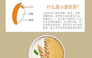 哪里的小麦胚芽最好（哪里的小麦胚芽最好吃）