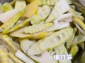 哪里人爱吃笋（川笋与浙笋的区别）