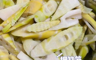 哪里人爱吃笋（川笋与浙笋的区别）