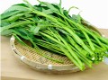 空心菜哪里不能吃,空心菜哪里有卖