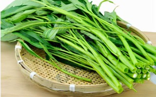 空心菜哪里不能吃,空心菜哪里有卖