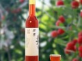 杨梅酒哪里的好（杨梅酒哪里的好喝）