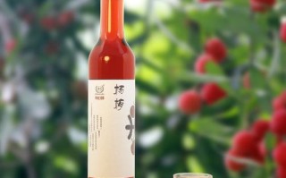杨梅酒哪里的好（杨梅酒哪里的好喝）