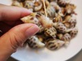 花螺的尾部在哪里（花螺屁股后面是什么）