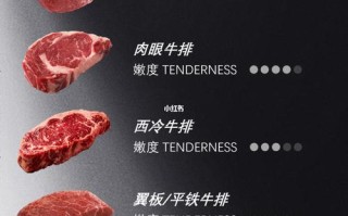 自制牛排买哪部位的肉,牛排选哪里的肉最好,最嫩